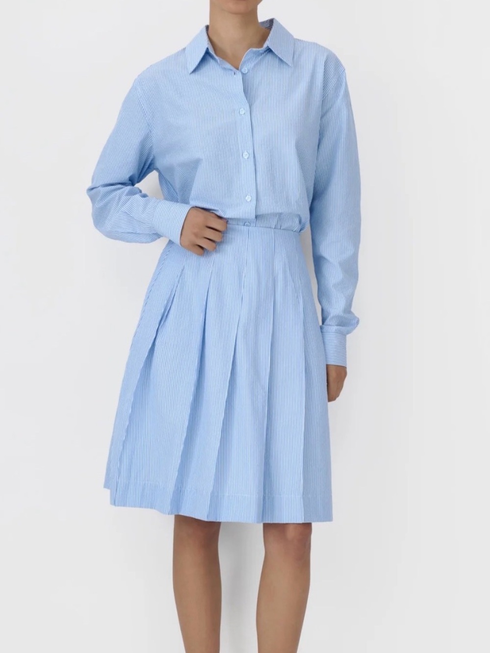 Recollection Blue & White Striped Pleated Skirt